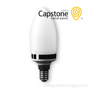 3W HV+LED Bulb